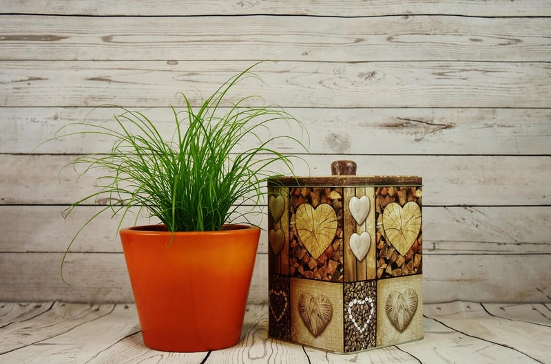 Repurposed Tin Can Planter